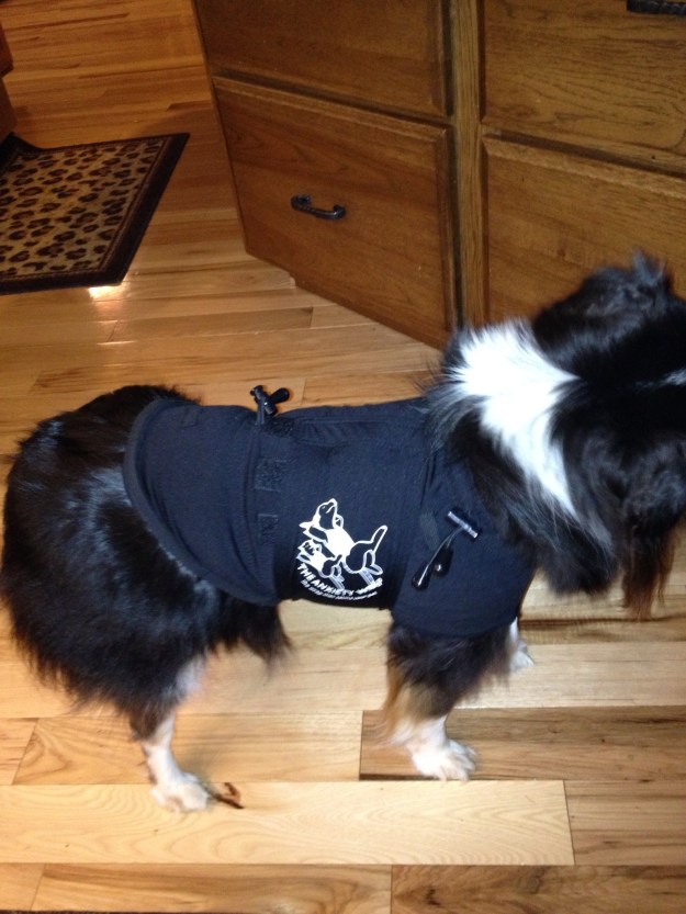 Wylie doesn't care for storms, he wears "the Anxiety Shirt". He will keep us safe during severe weather.
