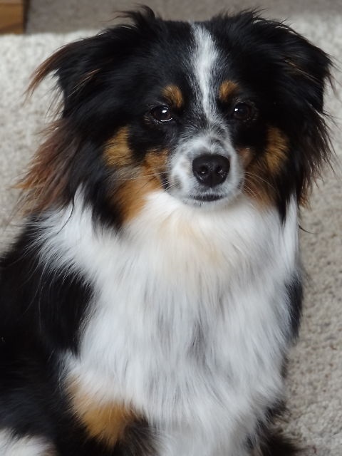 I think the end result is with it, he probably doesn't think so.