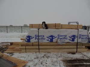 Construction was to begin tomorrow, but it has been postponed for a few days.