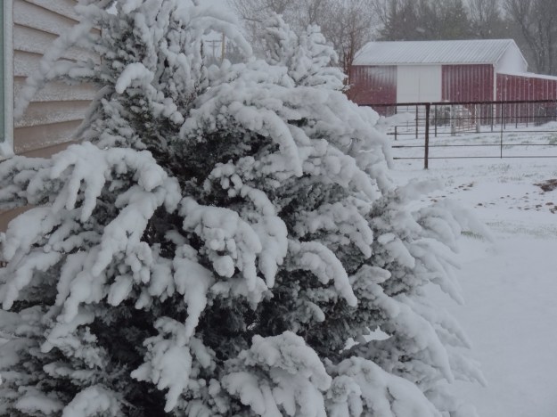 It's is what we woke up to in Kansas this morning.