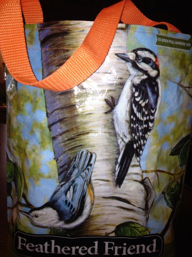 Feathered Friend - Woodpecker