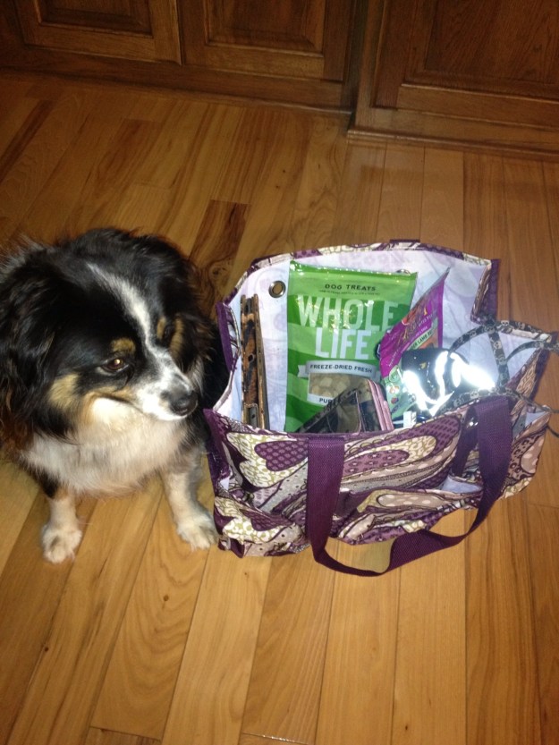 So many days with the forecast of severe weather, I thought it would be prudent to put together a "storm bag". I assembled it very quickly last night with the threat of severe weather headed our way. My "storm bag" included my billfold, phone charger, iPad, 2 bags of treats for Wylie, Wylie's food, and his leash. I looked up the basic disaster supply kit on FEMA's website. I need to add a few more items to my "storm bag". It's really something we all to think of!