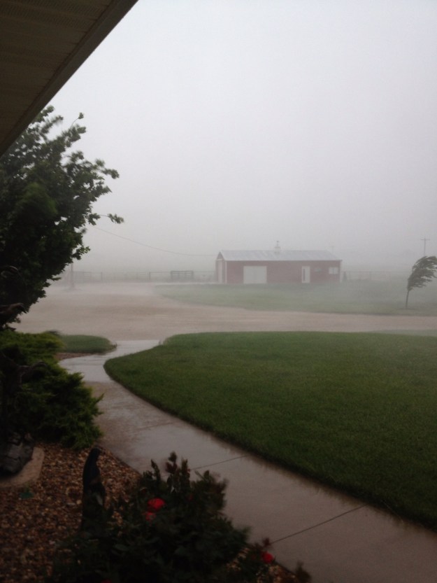 It was a wonderful rain, lasting all night and we had just a little over 3 inches of rain.