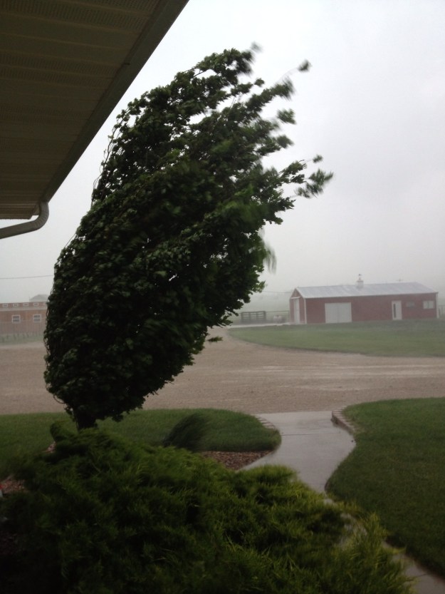A typical Kansas thunderstorms usually starts late in the afternoon on a hot humid day. Wylie and I had just put the chickens into their coop as it started raining.
