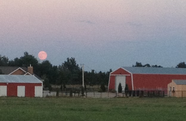 There is always something beautiful in nature. I love being able to see the sun rise, the moon, storms in the distance and this year I've seen so many rainbows. Sights like these make you slow down and let you reconnect with the beauty that surrounds you.