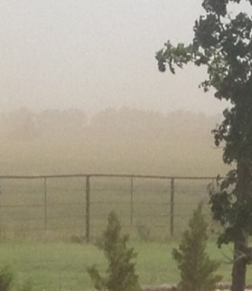 This is one of the windy day dust storms. Thankfully we've been getting some moisture and now the soybeans are up and he field is no longer blowing.