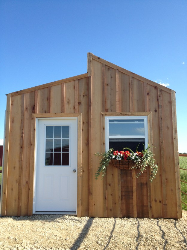 My day starts out at 5:30 am when Wylie and I go out and get the newspaper. We then walk over to the coop and wake up the rooster when we open the door to the run. We go back to the house, Wylie goes back to bed, but I stay up. It's around 7:30 when I head back out to feed and clean up the coop.