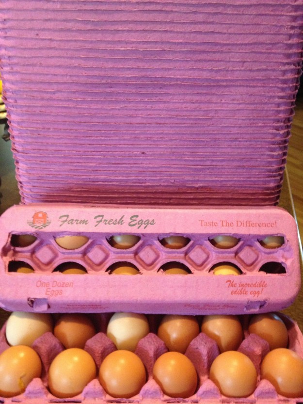 I found these adorable hot PINK egg cartons on the internet.  Girls...get busy.