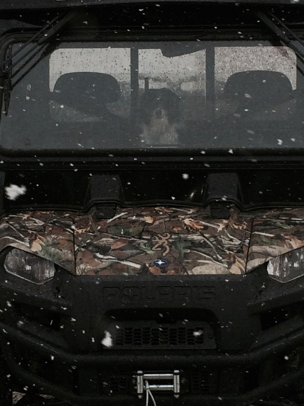 Wylie did finally get up. He likes doing chores in the Ranger.